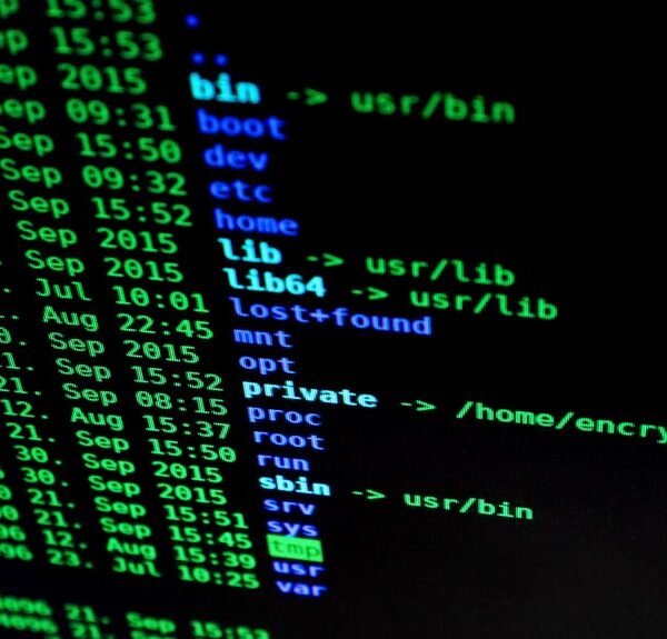 web domain activity monitoring file