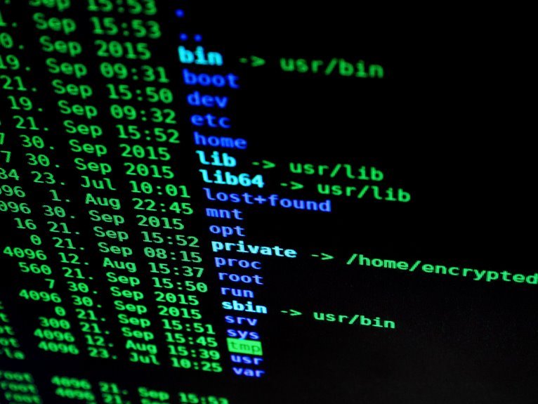 web domain activity monitoring file